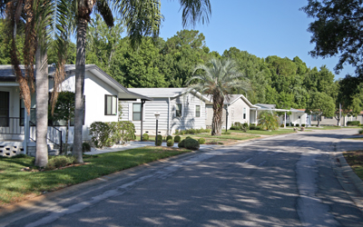 Close view of road with trees and houses aside